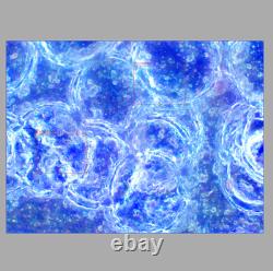 Test OK Nikon BD Plan ELWD 60x/0.70 Microscope Objective Lens 210mm M26 33961