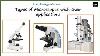 Types Of Microscope And Their Functions