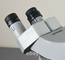 Wild Leica M8 Microscope with Large Plan 1x Objective 10x/21 Eyepieces and Stand