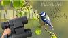 Wildlife And Bird Photography With Nikon Prostaff P3 Binoculars