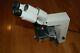 Zeiss Microscope Standard 25 ICS objective A plan 100x/1.25 E-Pl 10x/20